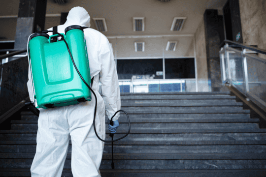 Formation certibiocide nuisibles chez France Formation nuisible