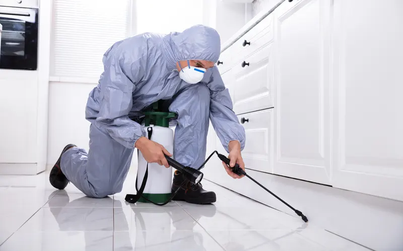 La reconversion en dératiseur professionnel