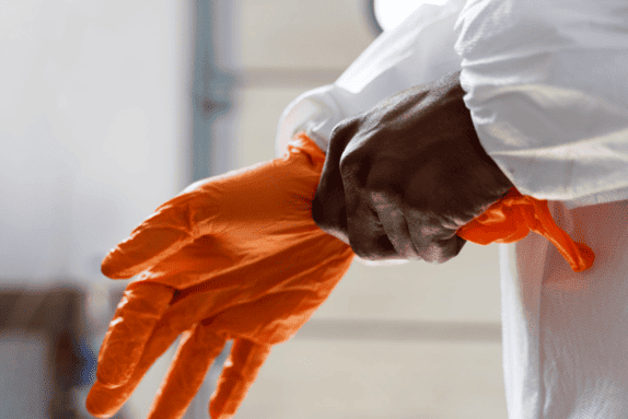 Le-certificat-certibiocide-nuisibles-Formation-certibiocide-nuisibles-de-France-Formation-nuisible